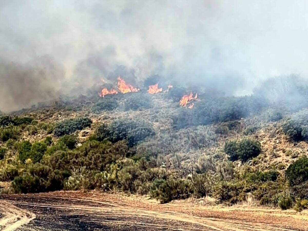 Controlado el incendio forestal en el paraje La Hiedra de Antequera