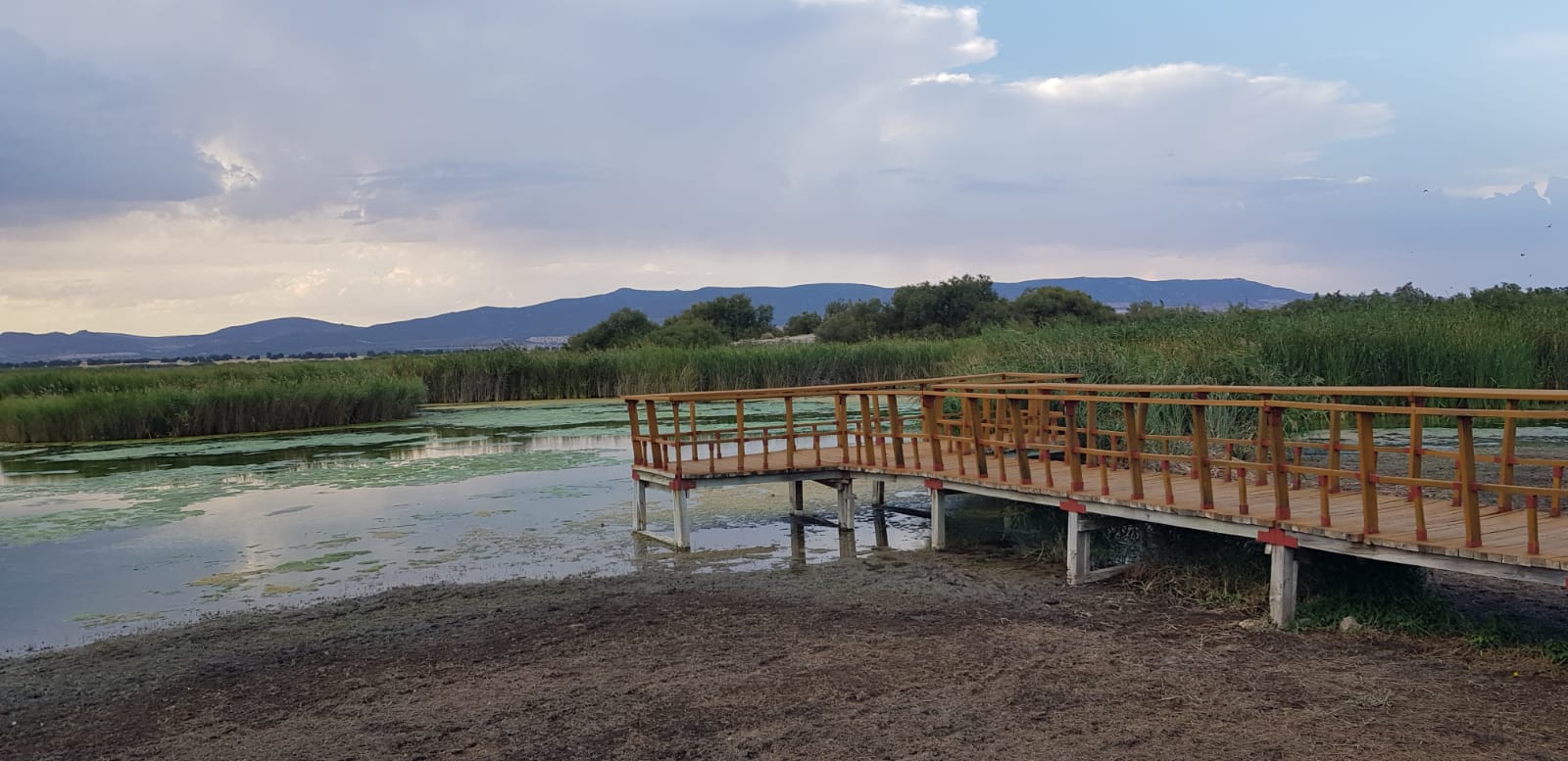 Una de las pasarelas de Las Tablas de Daimiel en marzo de 2023