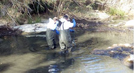 Imagen de las tareas de limpieza.