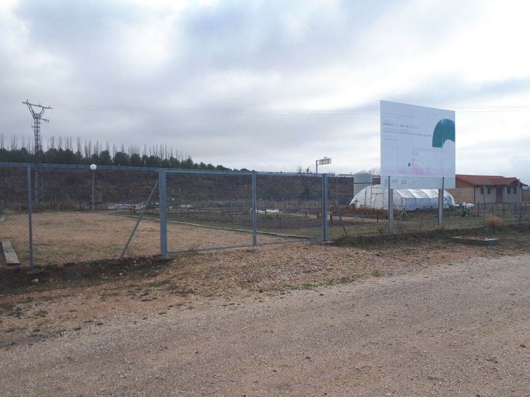 Los huertos urbanos están en el polígono industrial Allendeduero