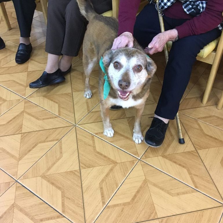 Miko con las mayores de una residencia.