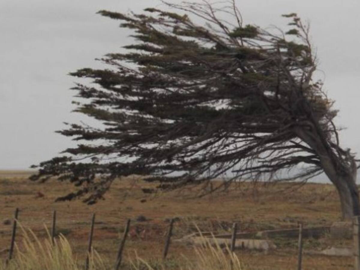 Albacete, en alerta por viento