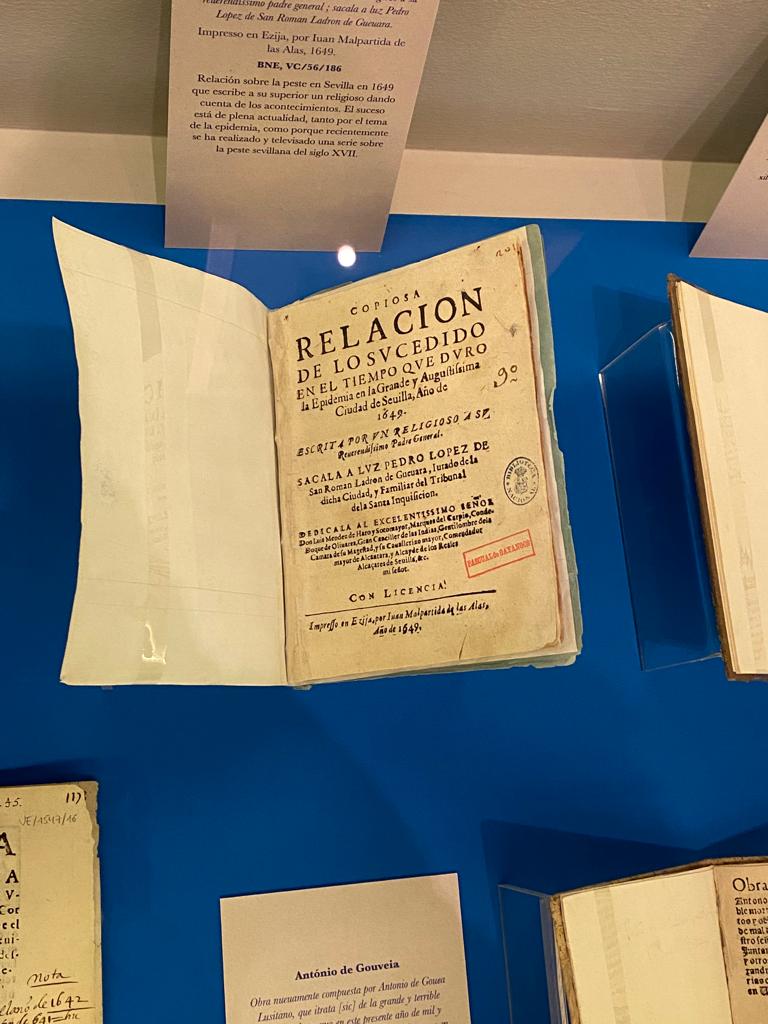 Relación de lo sucedido durante una epidemia