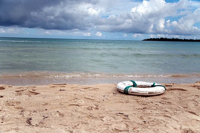 El trío se ha alimentado esas semana de pescado y de una gaviota que se posó en la barca y pudieron atrapar