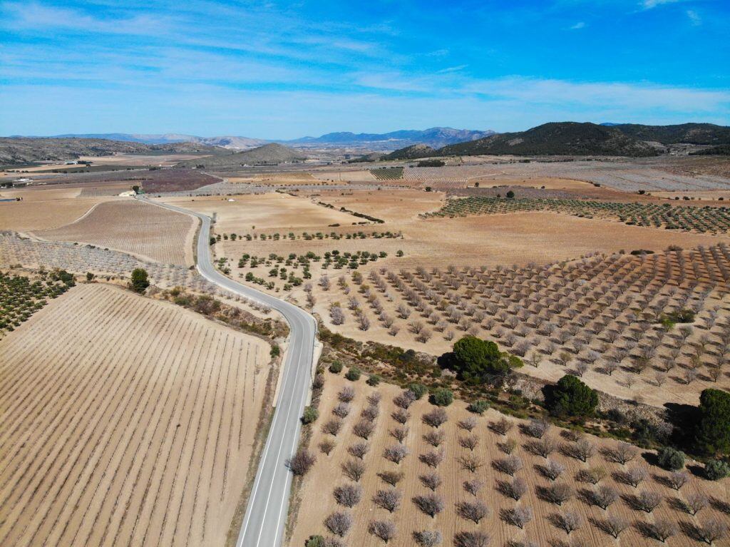 Terrenos afectados por la llegada de las fotovoltaicas