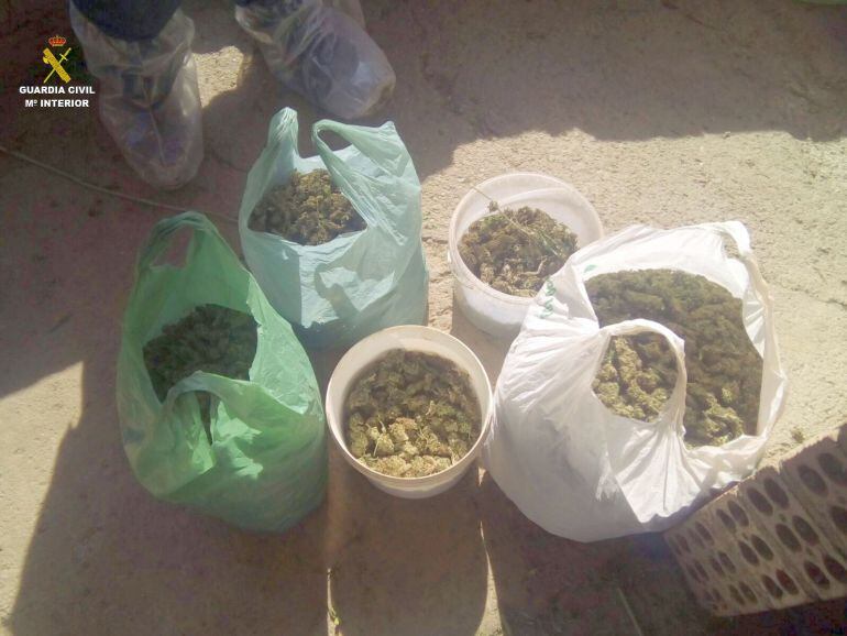 Parl de la marihuana incautada que s'anava a vendre a Alemanya