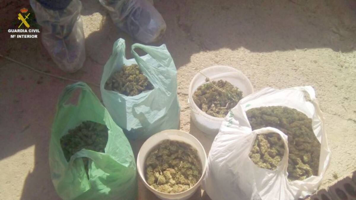 Desarticulada una banda internacional que traficava amb marihuana