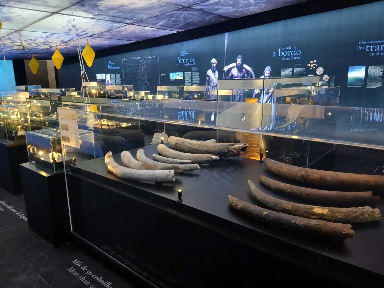 Algunas de las defensas de elefante expuestas en la exhibición