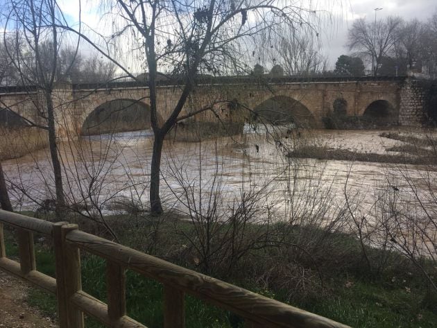 El Henares a su paso por la capital este fin de semana.