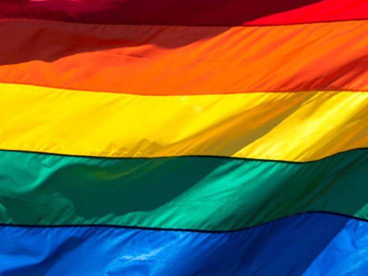 La Policía Nacional identifica a los presuntos autores de arrancar una bandera LGTBI para pisotearla