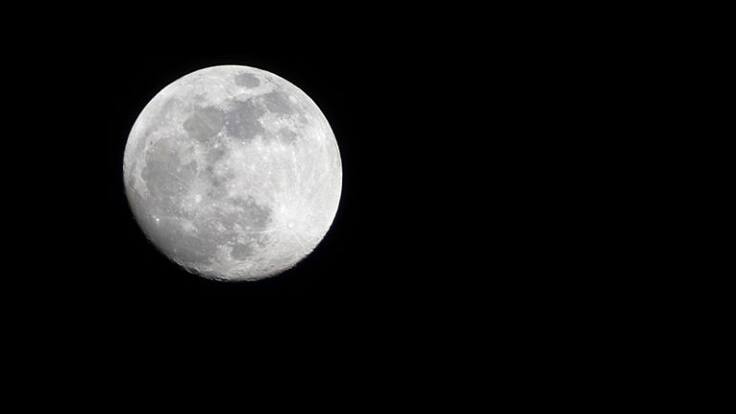 Carmen tiene una gata que se llama Coca y tuvo un mal entendido con la policía