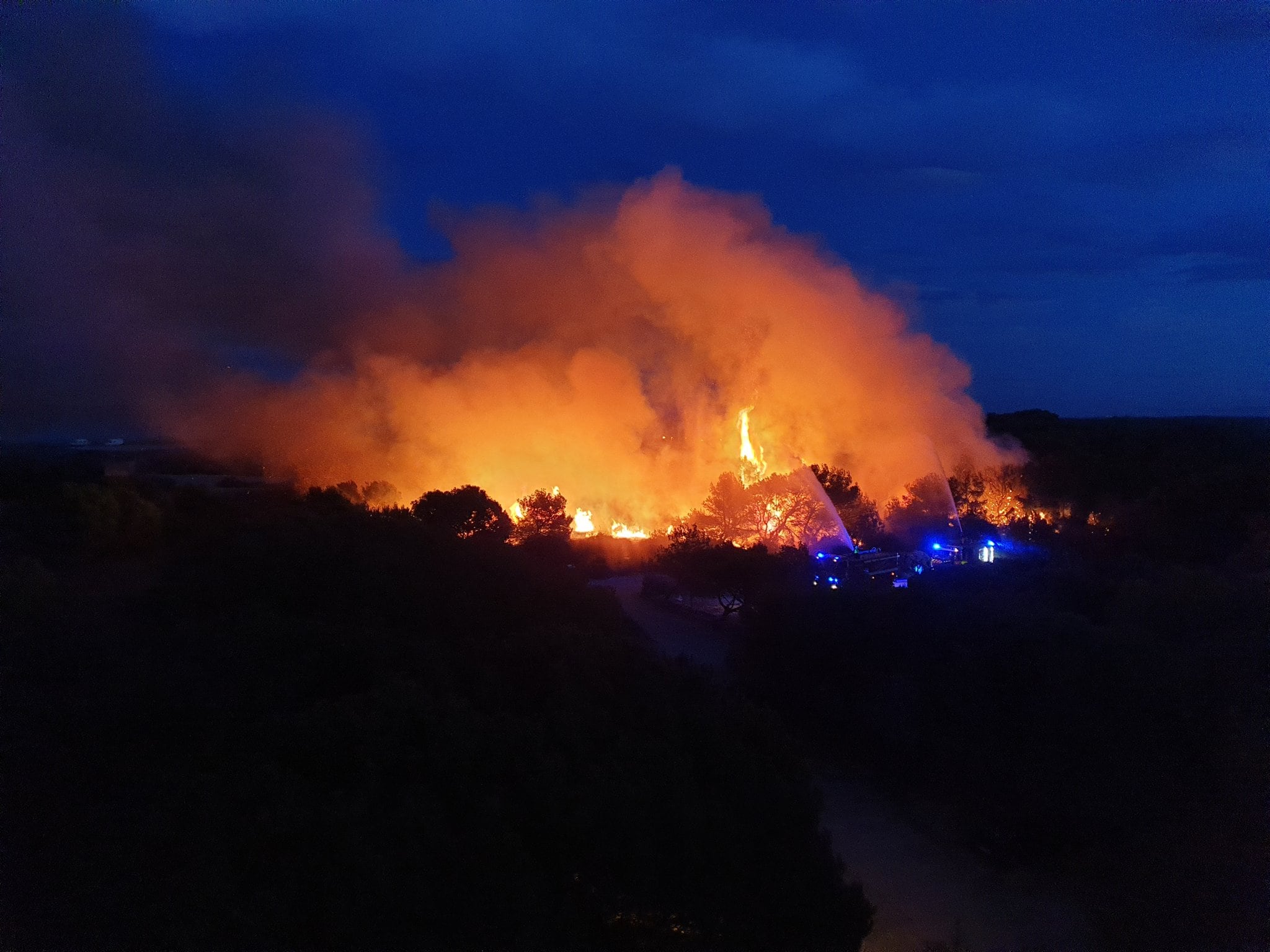 Incendio en El Saler