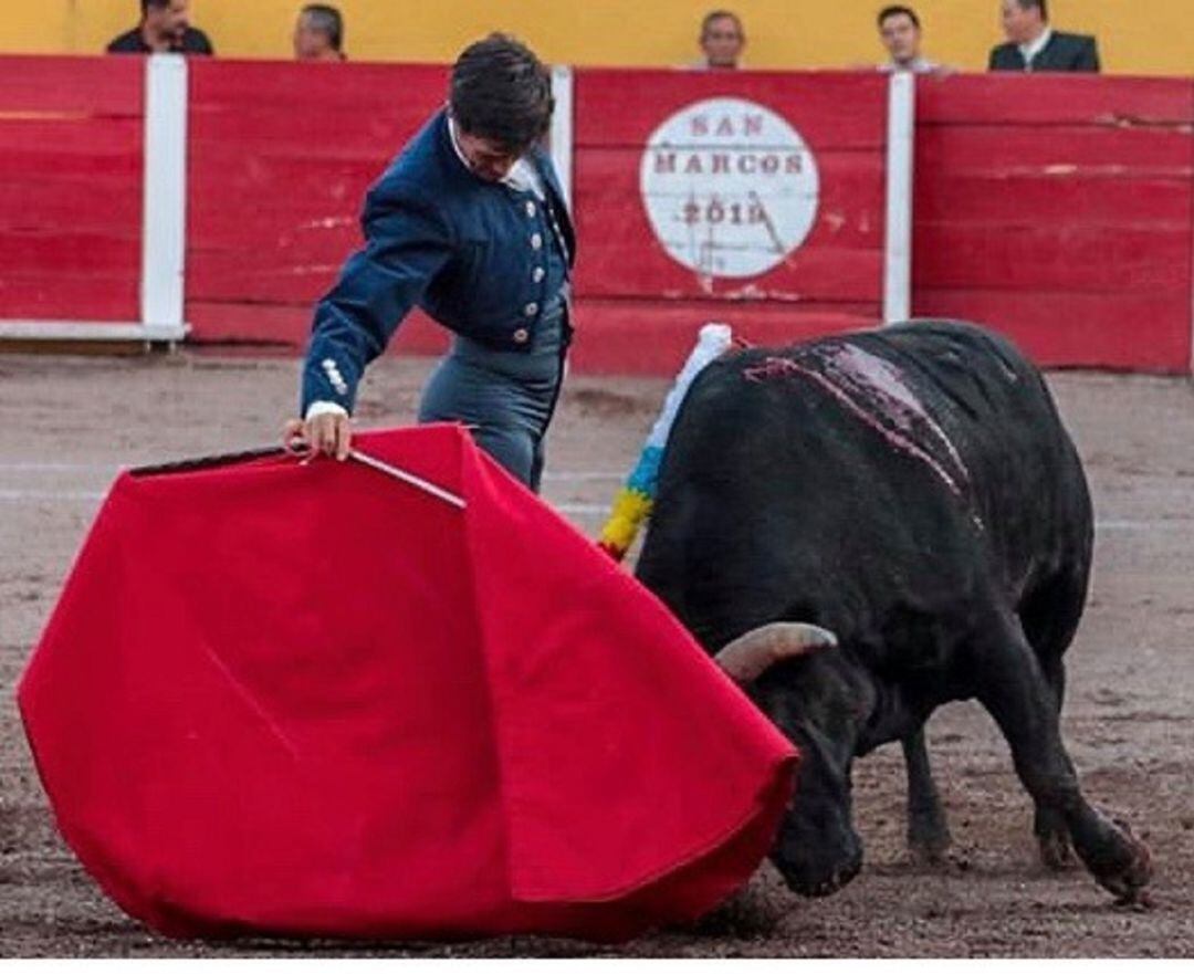 Pedro Gutiérrez &quot;El Capea&quot; apuesta por el festival benéfico de Medina del Campo