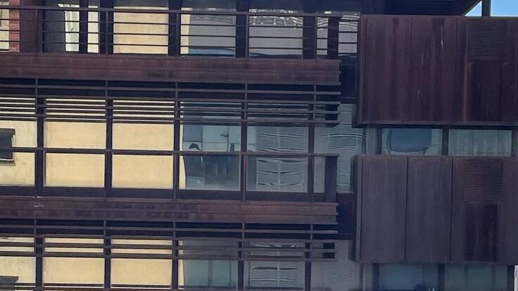 Isabel Pérez: "no es por el interés común"