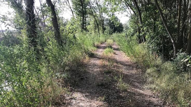 Paseos sonoros de la Cadena SER: 'Del Muro de Revellín a los Sotos de Alfaro'
