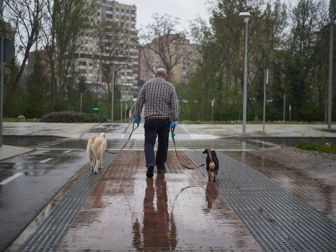 Un hombre paseando a sus perros en Pamplona