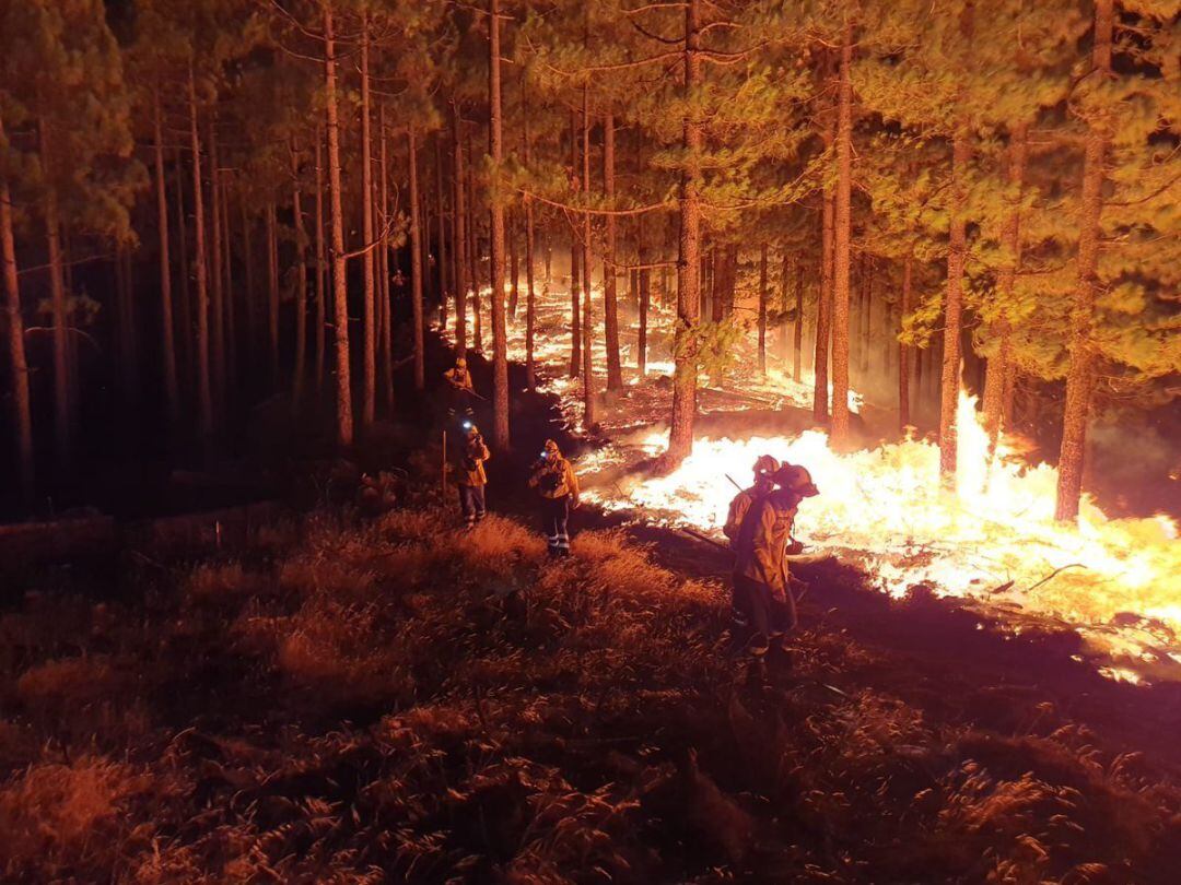 Incendios.- La Delegación del Gobierno pide el traslado a Gran Canaria de hasta 600 camas para atender a los evacuados