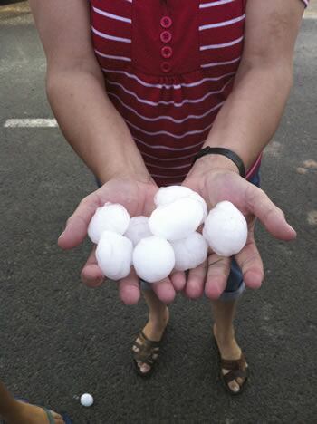 Granizo del tamaño de pelotas de golf provocó el martes destrozos en los cultivos agrícolas de la pedanía lorquina de Avilés, así como daños en algunos vehículos y tejados de naves industriales
