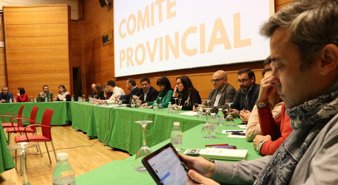 Miembros del Comité Provincial del PSOE durante la reunión de este lunes.