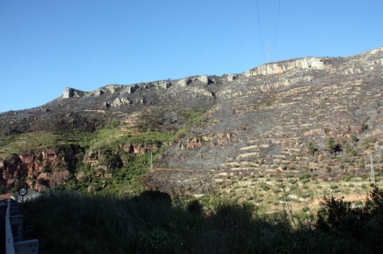 na de les zones cremades de l'incendi de la Riba aquest dimarts al matí