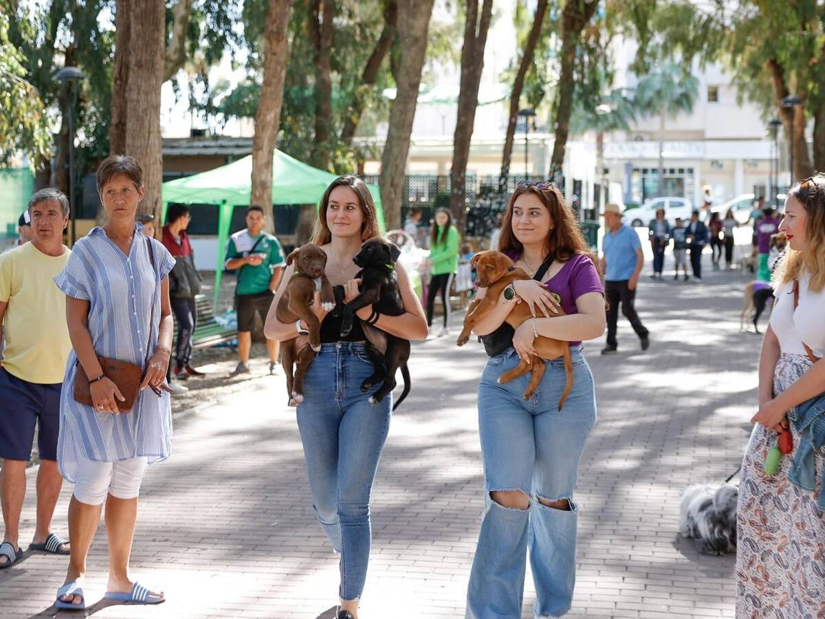 Entrevista a Bárbara Bernaú (APPA Protección Animal) en Hoy por Hoy Benidorm