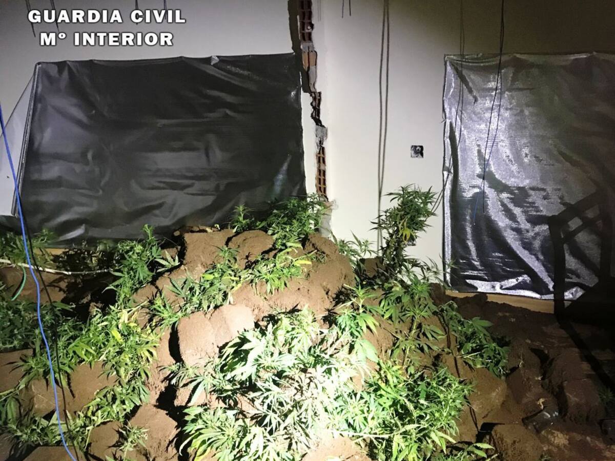 Buscan a un ocupa que transformó una vivienda de Sotillo de la Adrada en un laboratorio de marihuana