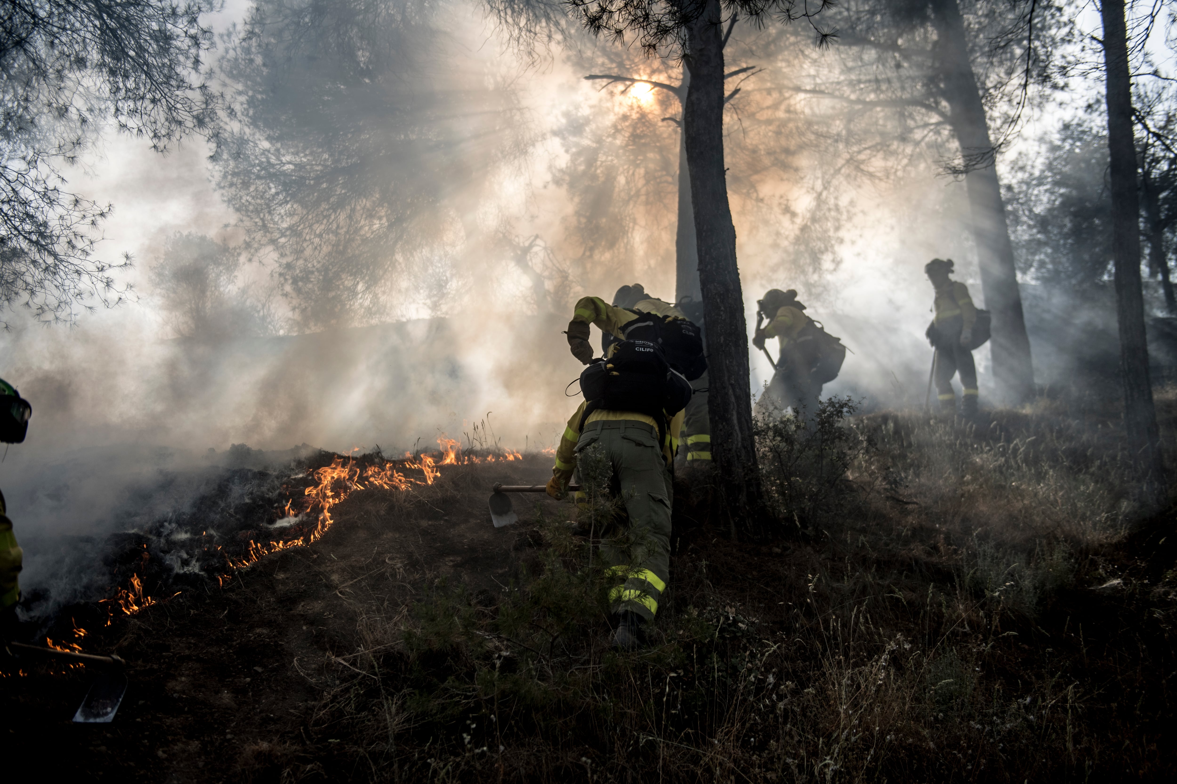 Varios bomberos del INFOCA (Foto de Carlos Gil Andreu/Getty Images)