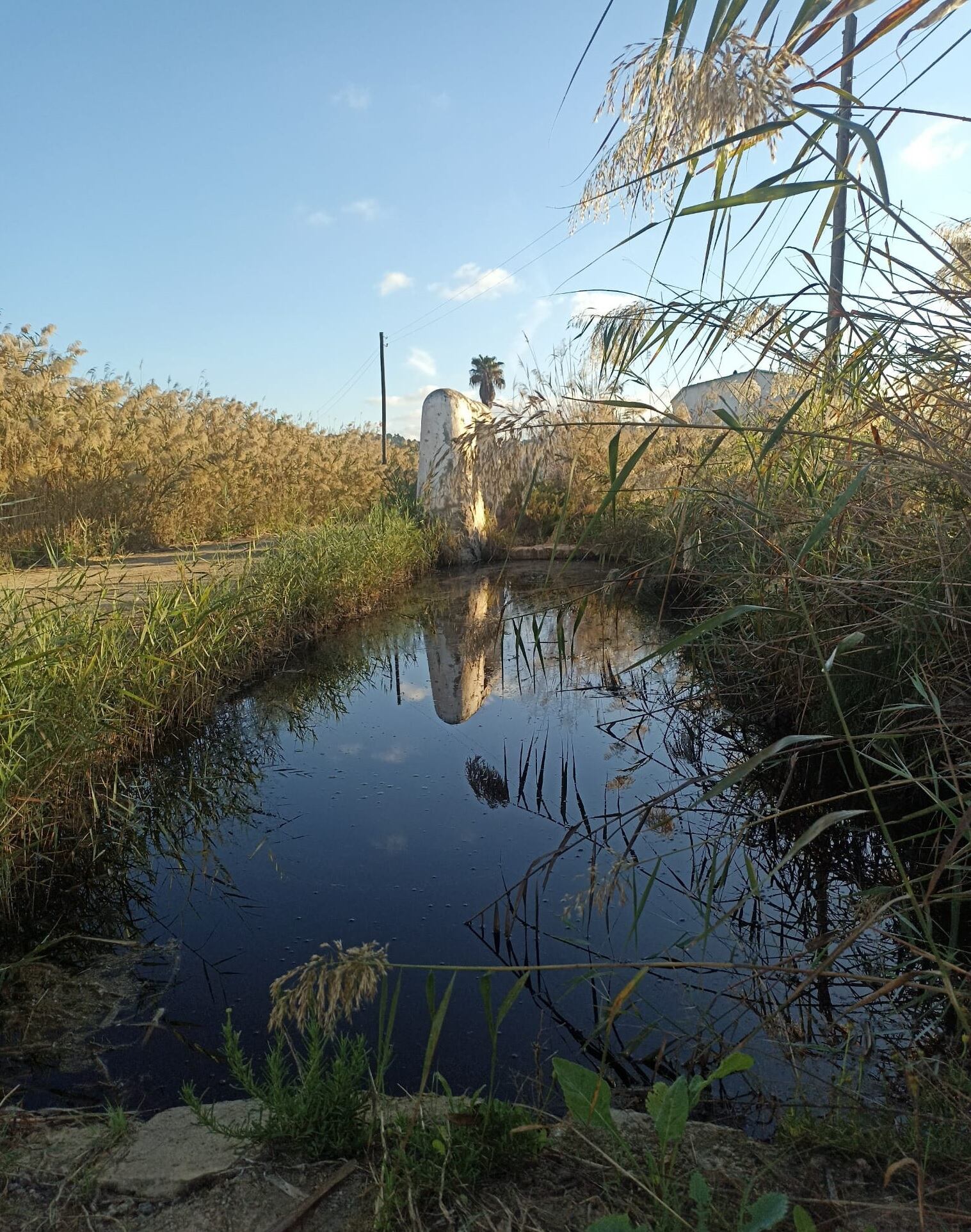 Limpieza de los canales de ses Feixes