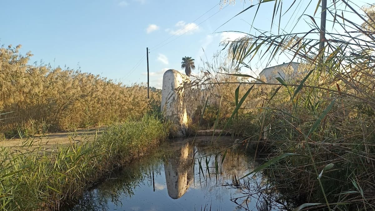 Vila espera licitar antes de que acabe el año el Plan Especial de Ses Feixes