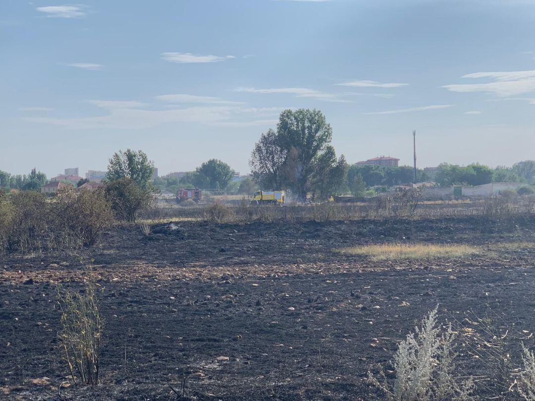 Las llamas han arrasado una gran superficie de hierba y matorral