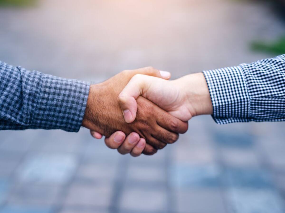 La llavor (23/02/2019)