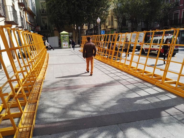 Preparación para la venta de palma blanca