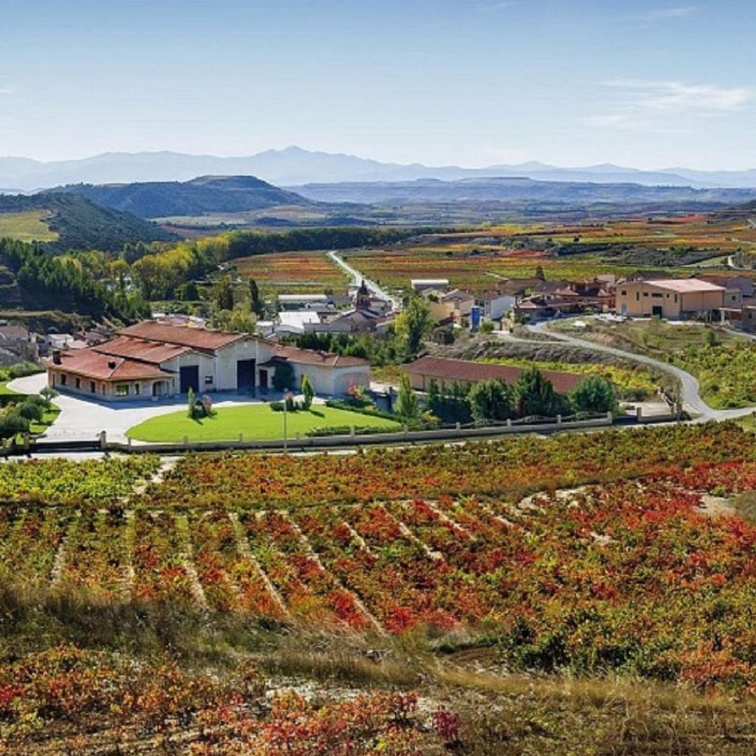 Las Bodegas Altún de Baños de Ebro, entre las más premiadas con tres galardones