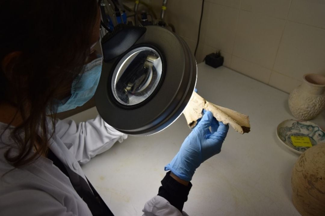 La beca municipal de arqueología de València da sus primeros resultados.