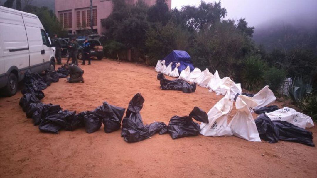 Les bossos amb els cadàvers dels gossos que van recollir els Agents Rurals