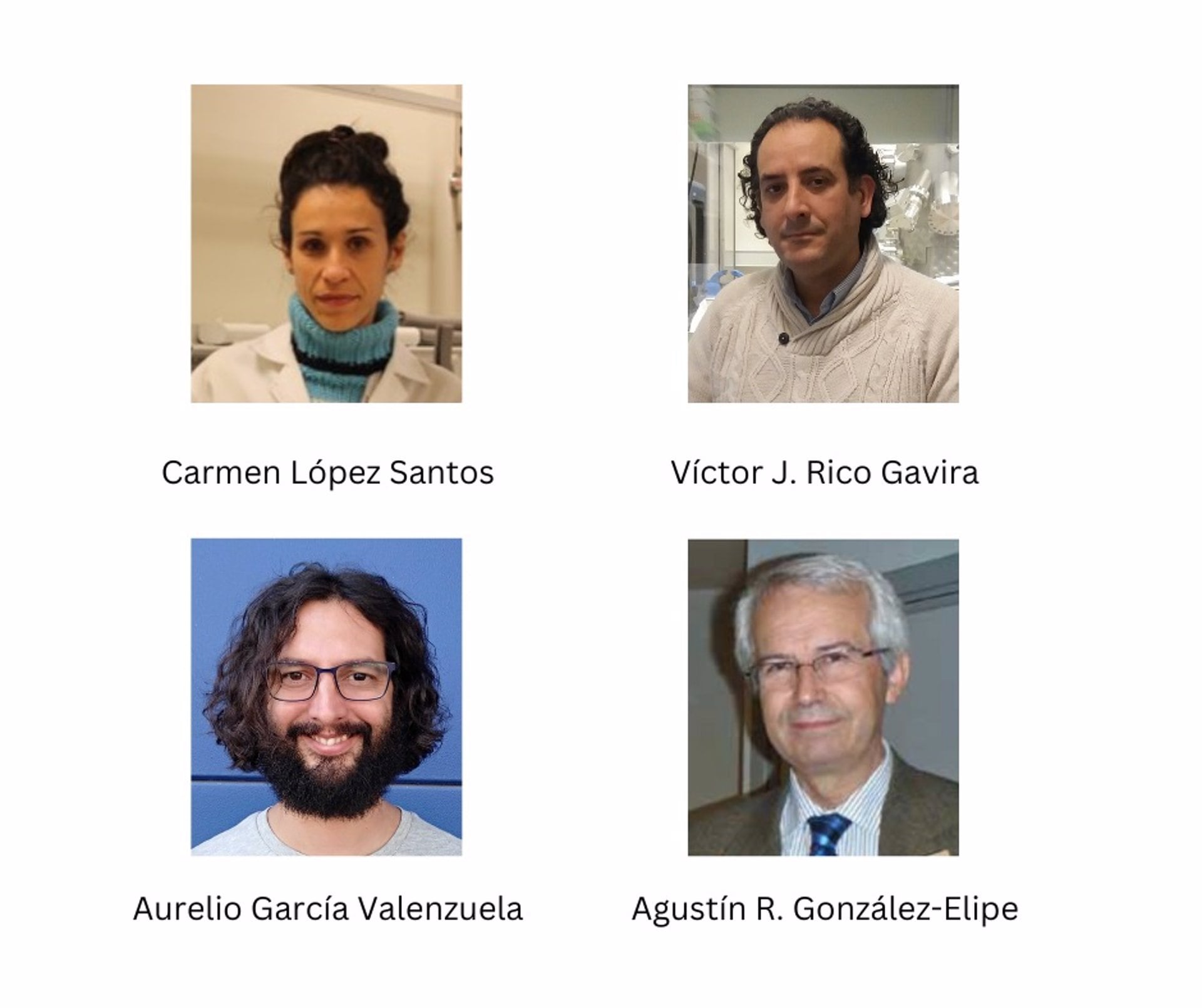 Equipo de investigación del Instituto de Ciencia de Materiales de Sevilla