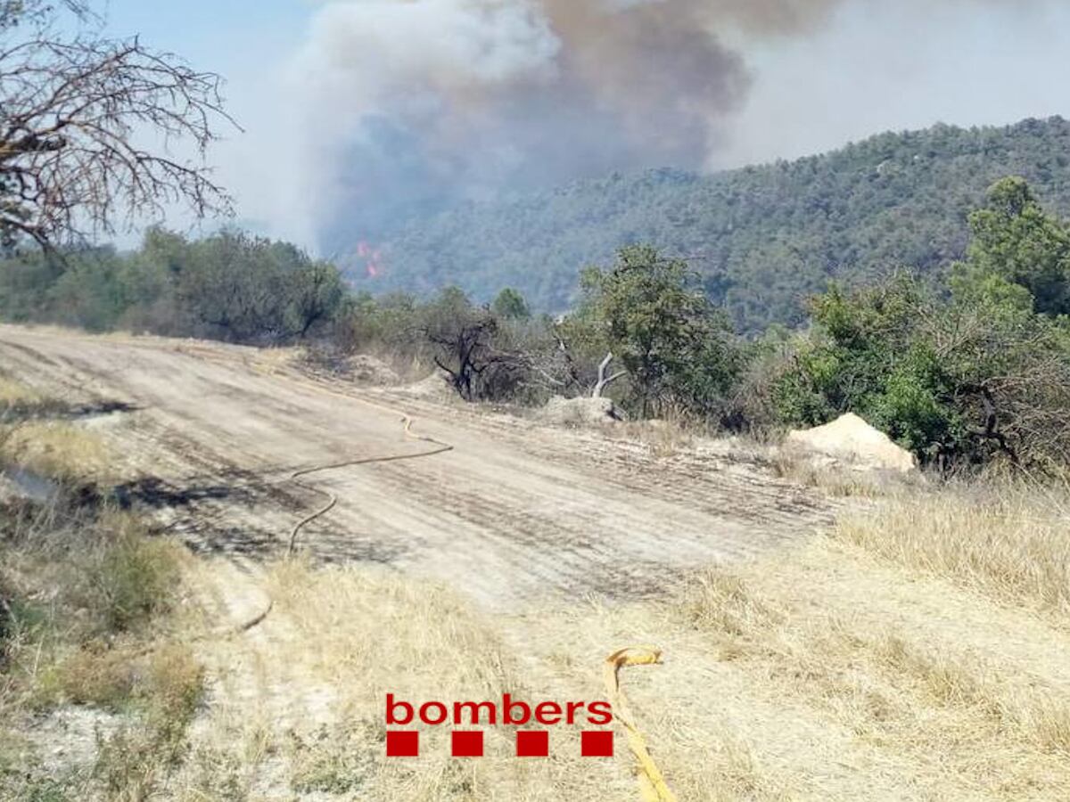 En aquesta imatge dels bombers es poden veure les flames d'un dels flancs de l'incendi de Ciutadilla.