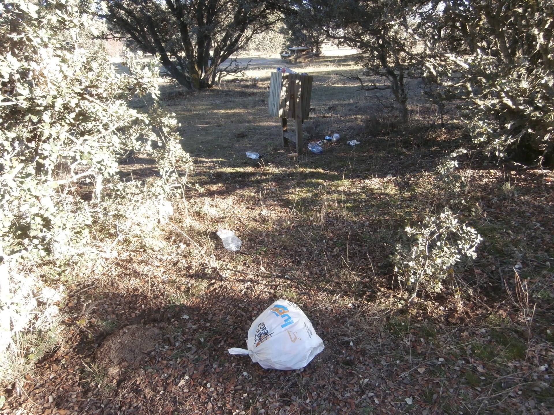 Papeleras sin recoger en la ruta de Campo Azálvaro