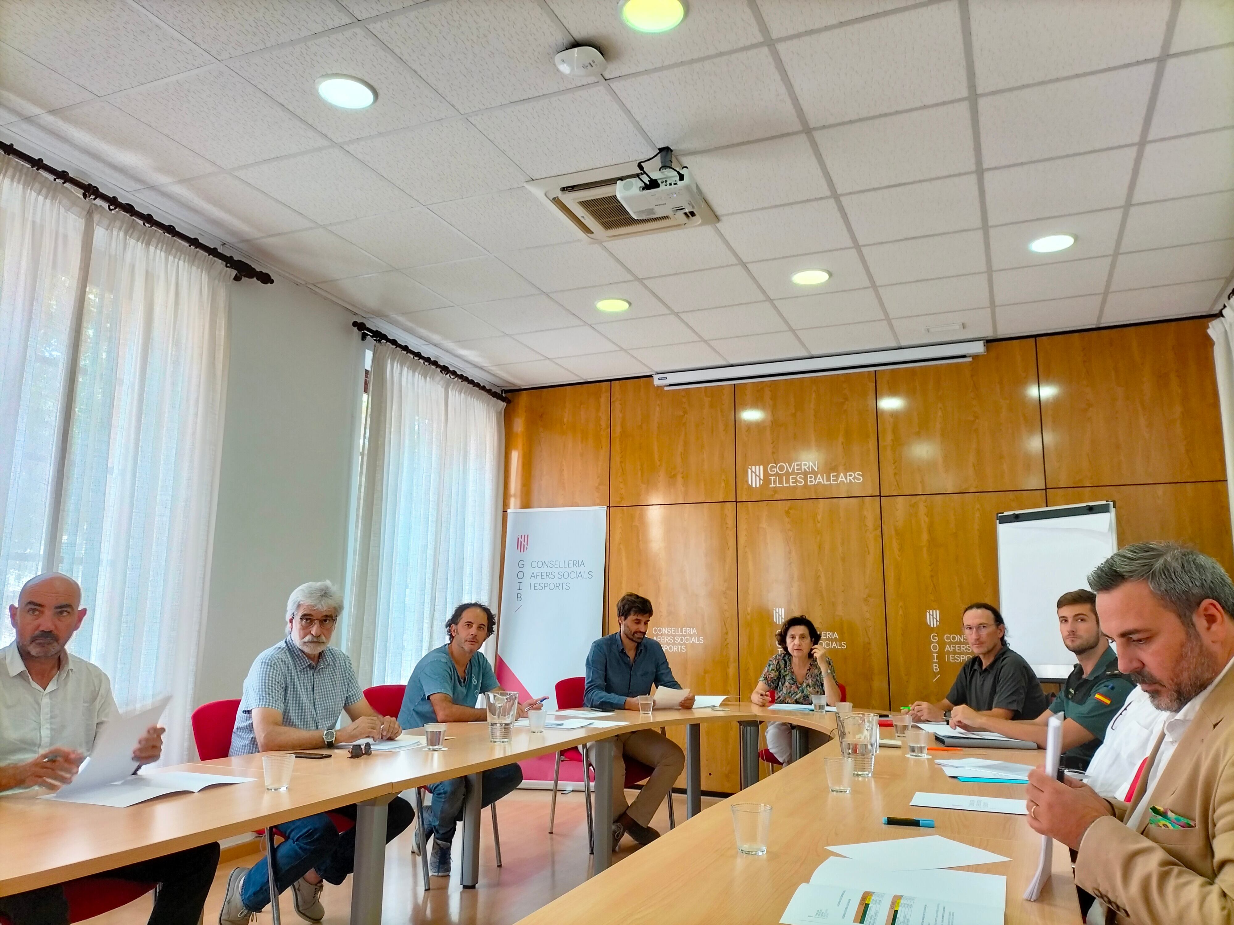 Imagen de la reunión