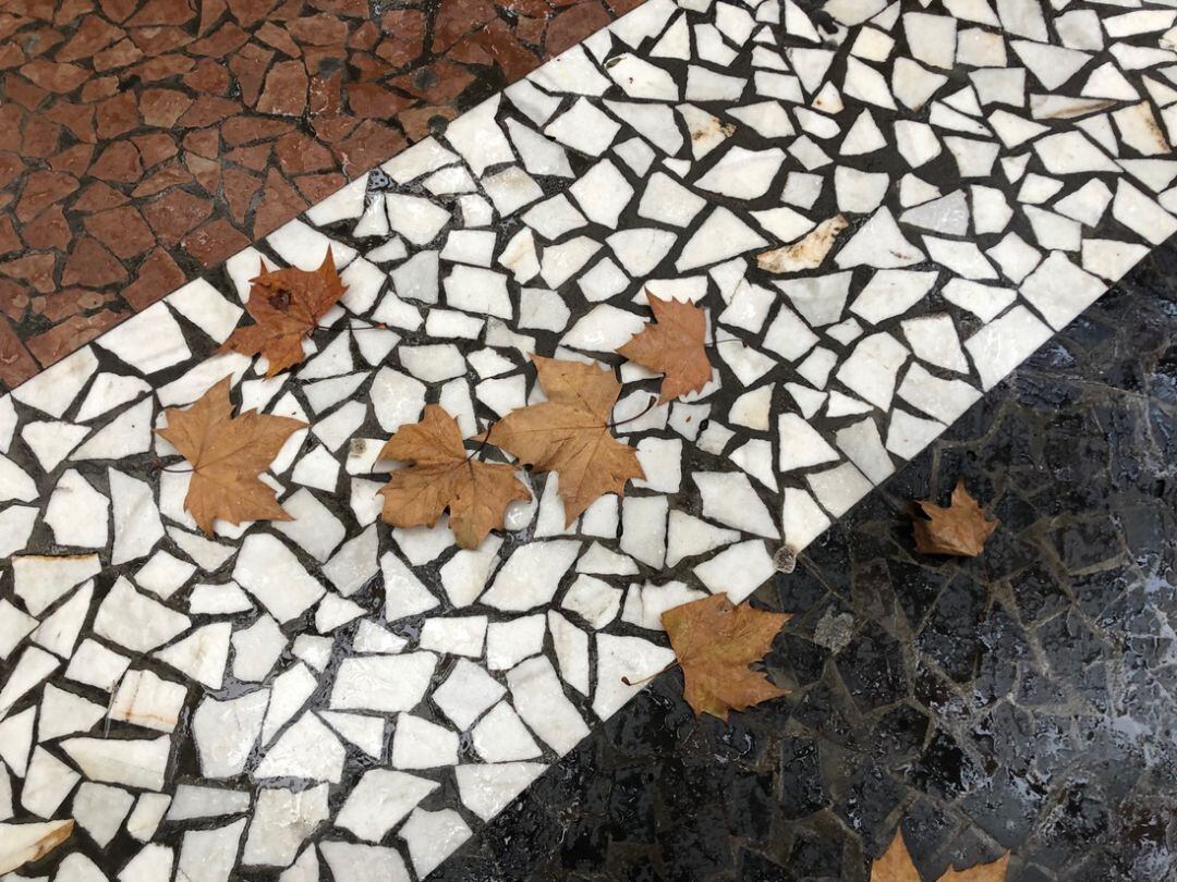 Manto de hojas en el Paseo de Gandia estos días de lluvia 