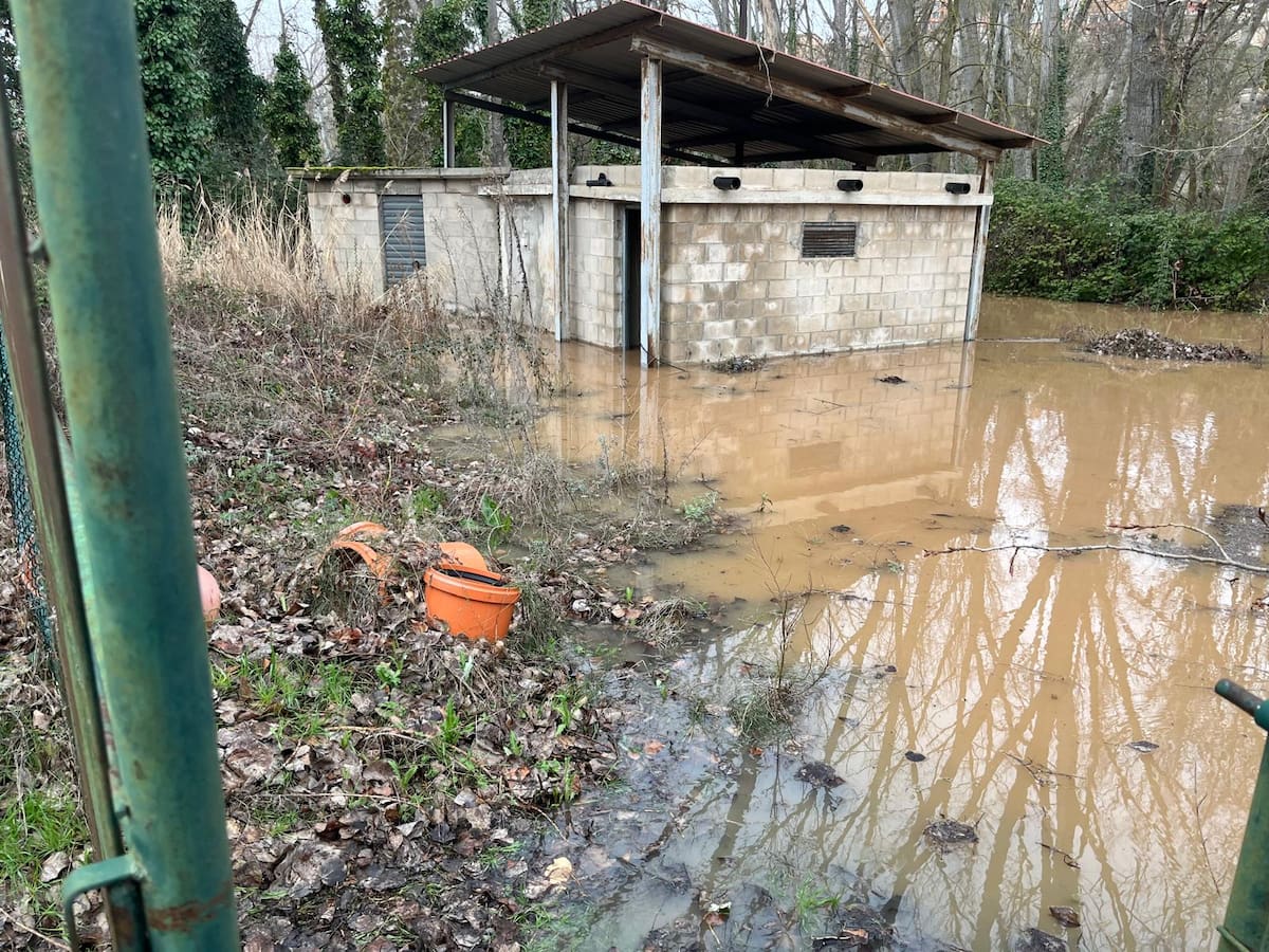 David Colinas lamenta que el subdelegado del Gobierno no pasara por Roa para evaluar los daños fluviales