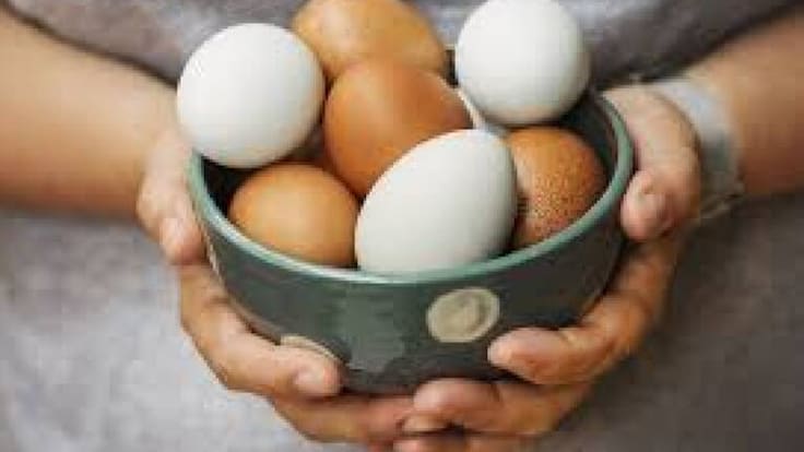 Si las gallinas no están sueltas, ¿Estamos pagando de más por los huevos camperos?