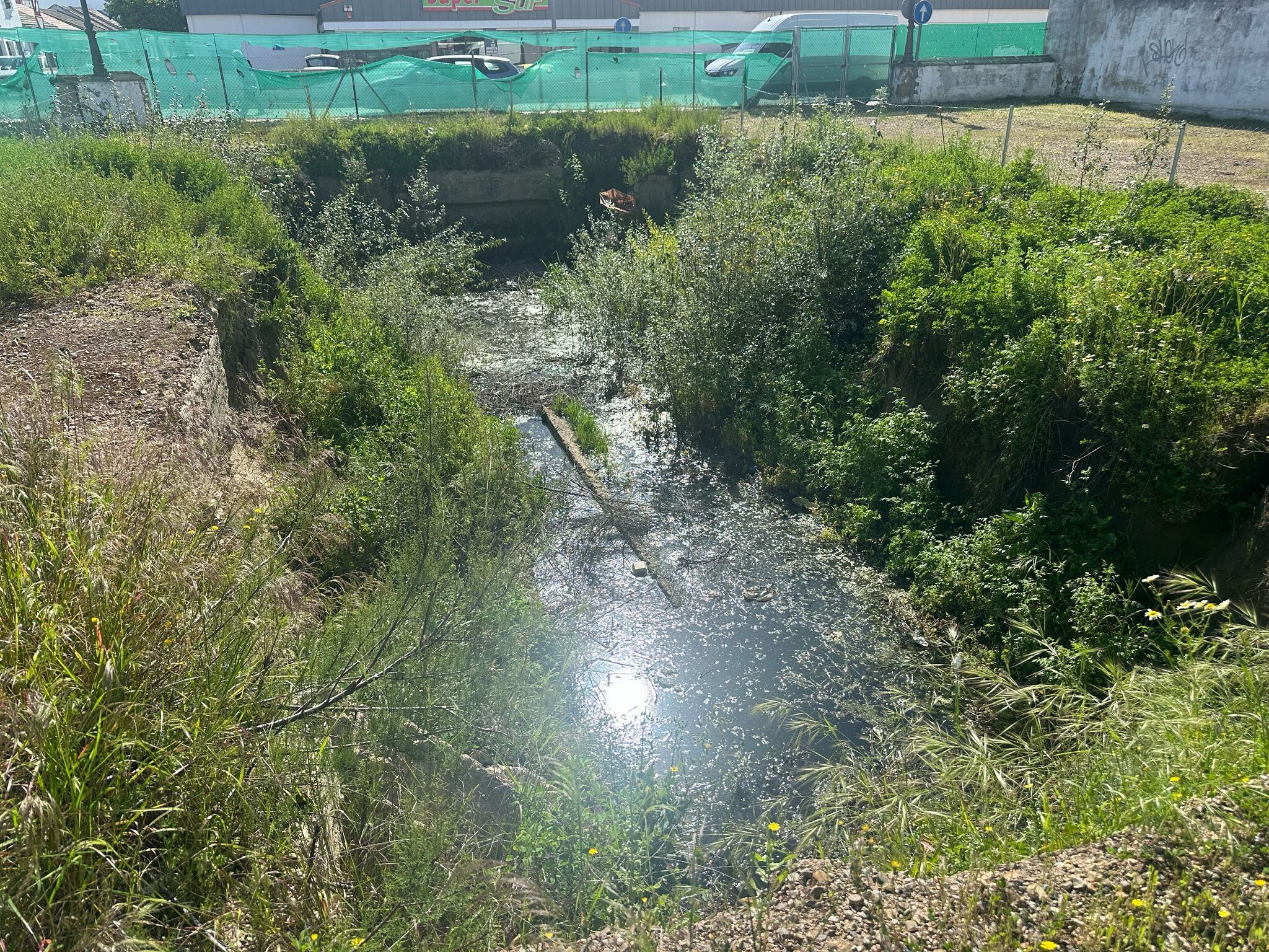 Charca del solar de la Avenida de Andalucía de Palma del Río