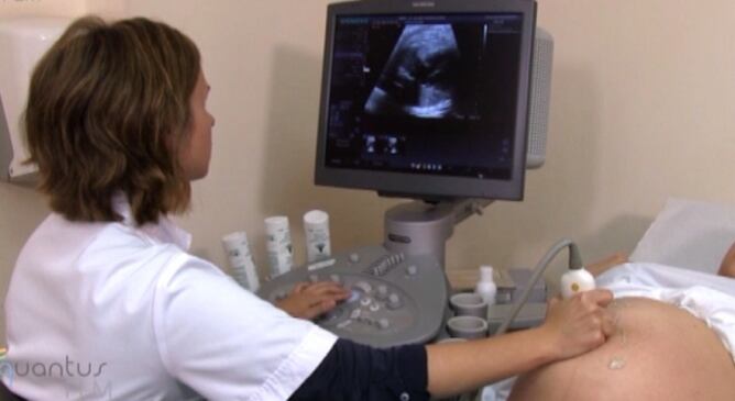 Nova prova per detectar la maduresa pulmonar dels fetus