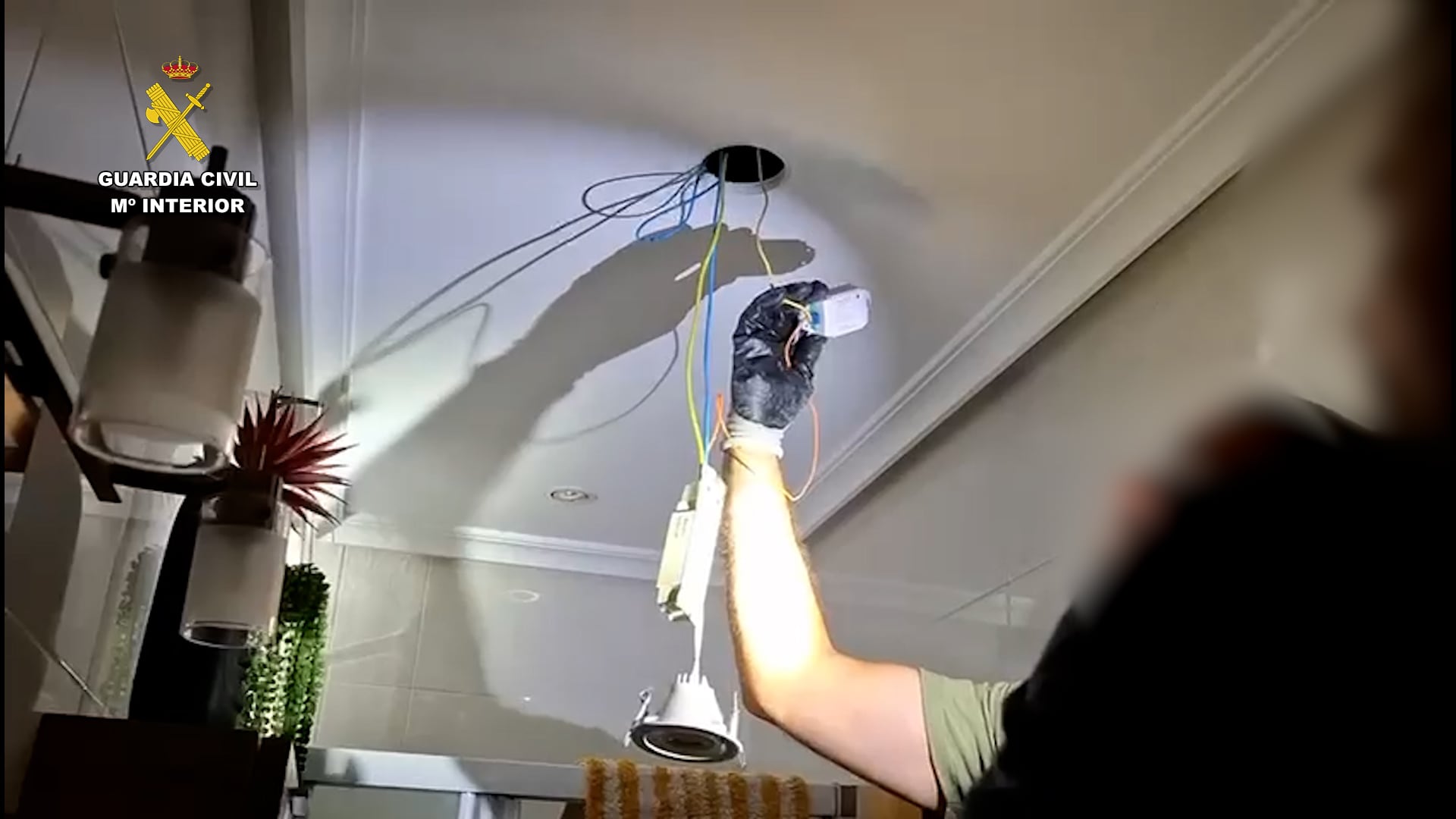 Han sido intervenidos más de 50 terabytes de material pornográfico, en su mayoría imágenes de menores de edad