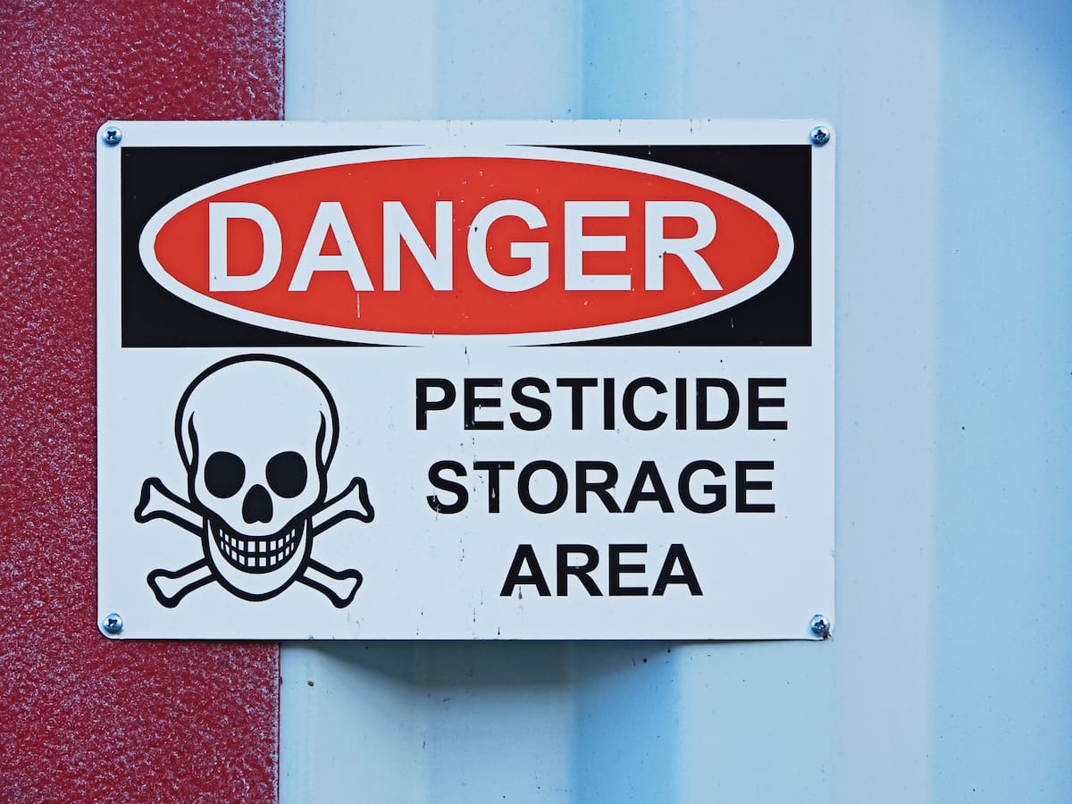 "Cuanto más mayor eres, más nivel de contaminación tienes"