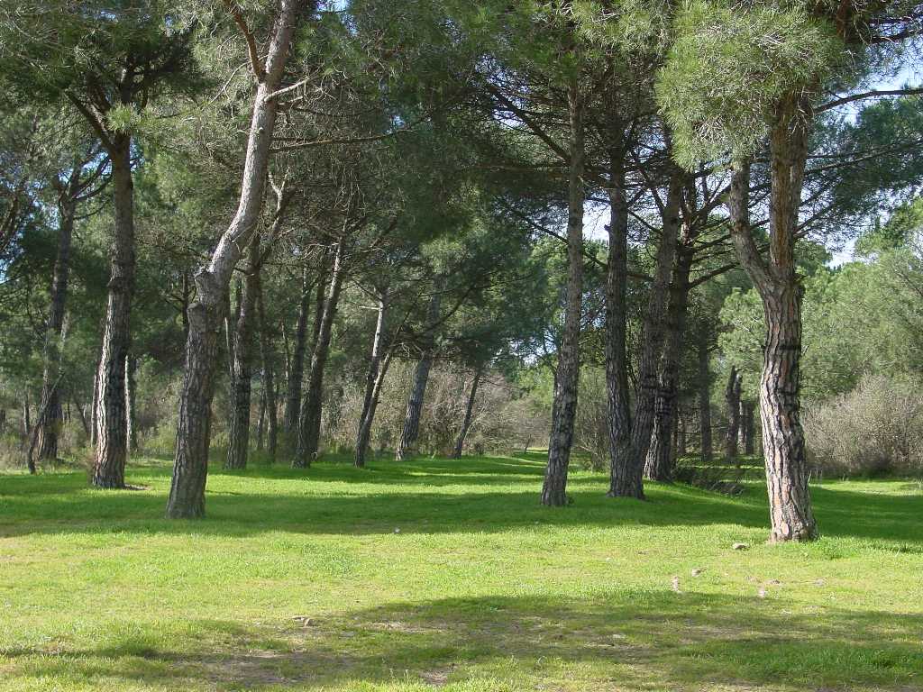 Imatge de les Gavarres.