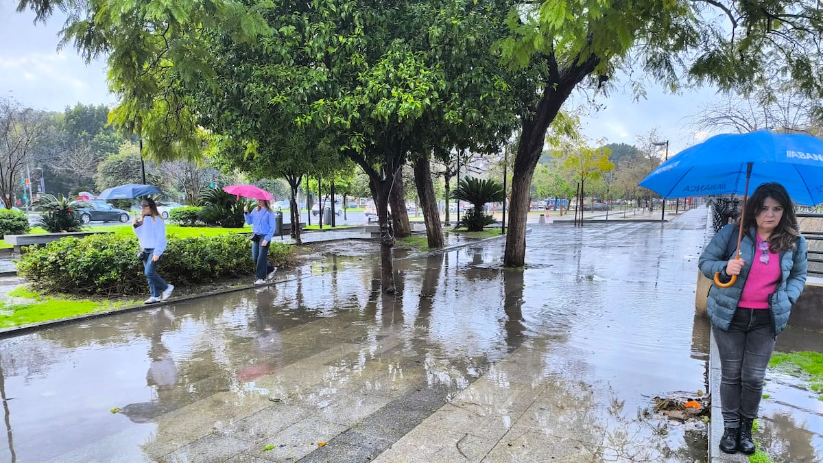 Juan de Dios del Pino, delegado territorial de la AEMET, anuncia cuatro borrascas más tras la de Konrad