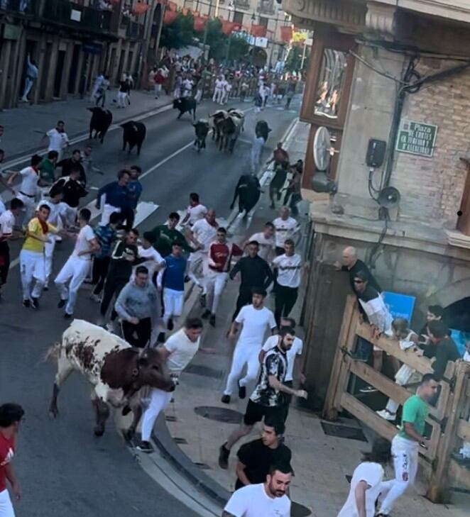 Segundo encierro de fiestas de Tafalla 2024 con toros de Rosa Rodrigues