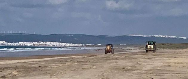 Fotografía realizada el pasado domingo 26 de abril y facilitada por las asociaciones ecologistas Agaden y Voluntarios de Trafalgar, de los tractores usados en la playa de Zahara de los Atunes (Cádiz) para fumigar con lejía la arena.